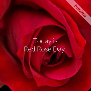 Red Rose Day